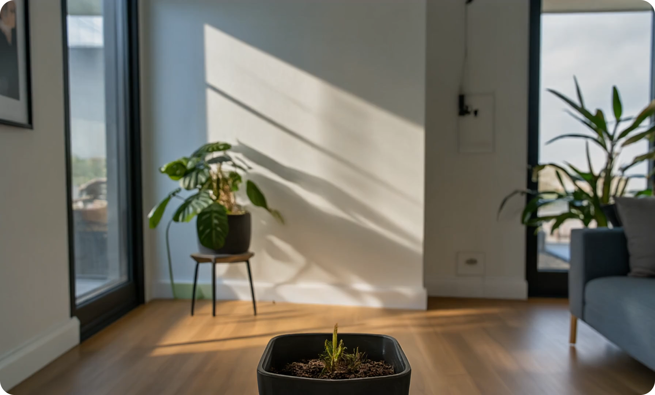 cc-shared/assets/products/firefly/features/ai-video-generator/media_1cba03fe53b42846829fc14697f46445ef6e863f9.mp4 | A monstera plant sits on a stand next to a window, casting a shadow on the white wall of a living room.
